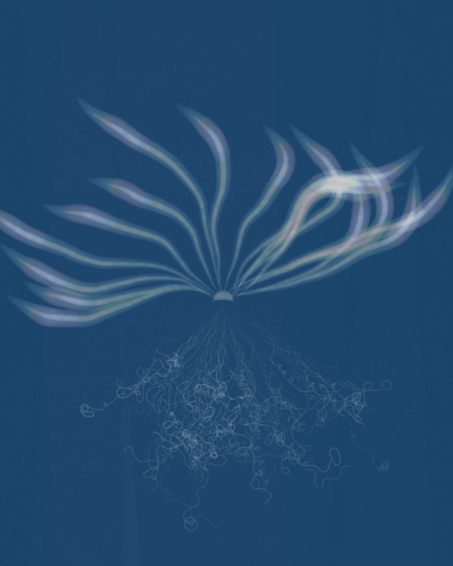Cyanotypes #15 static token preview