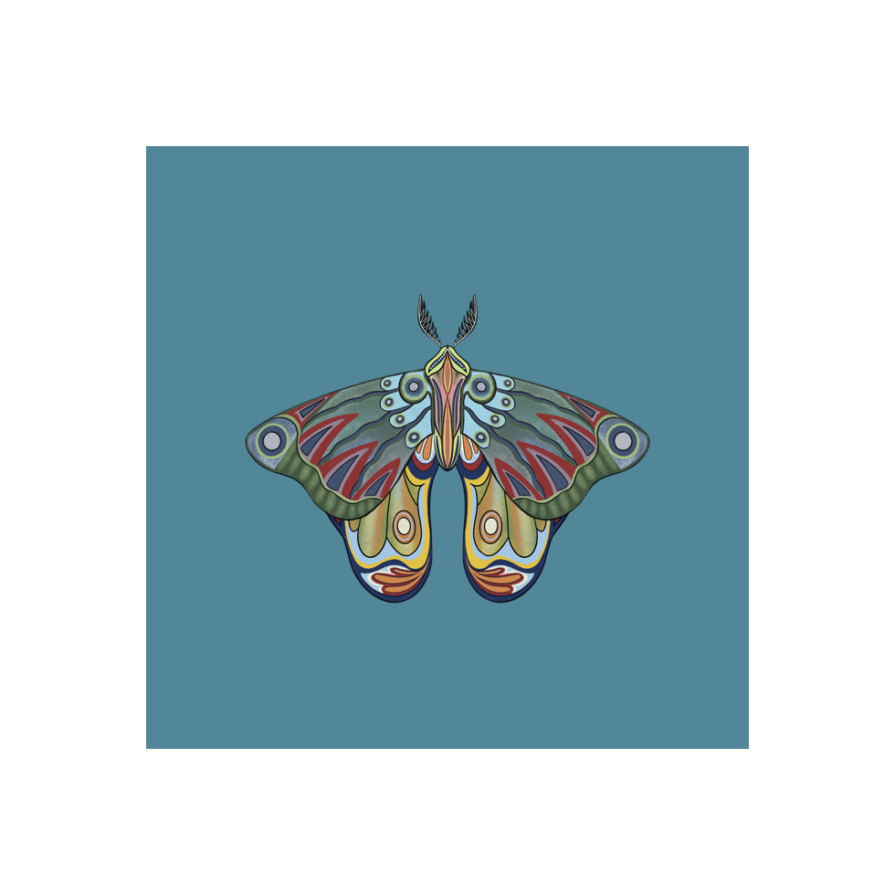 The Moth Experiment #26 static token preview