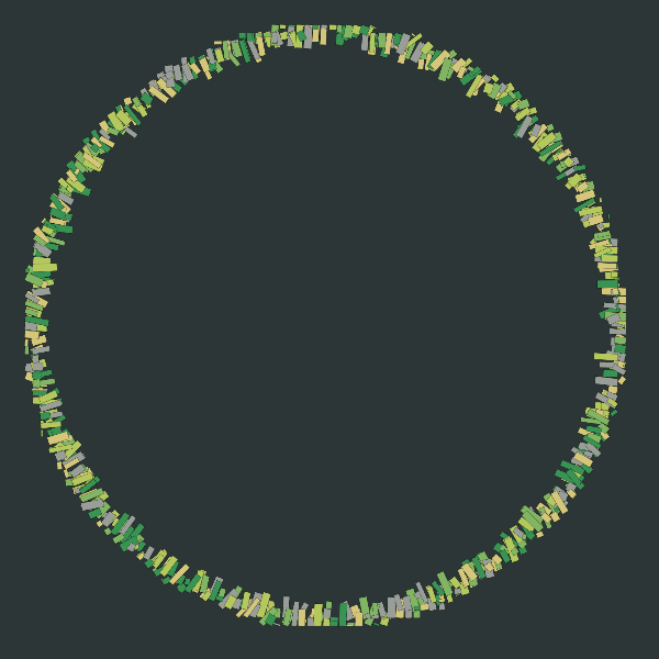 loop #6 static token preview