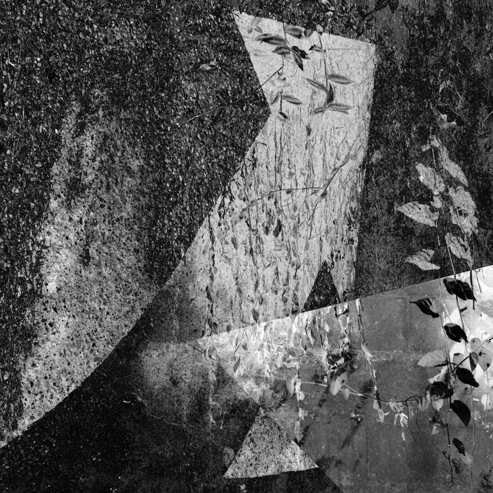 Subjective photography #1 #24 static token preview