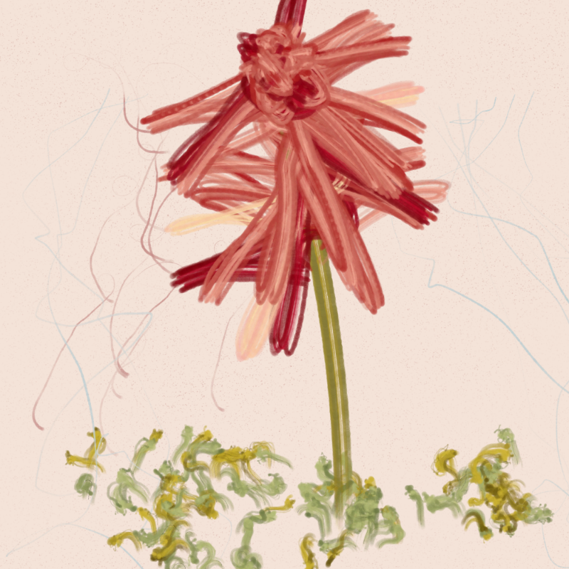 The Likeness of a Flower #19 static token preview
