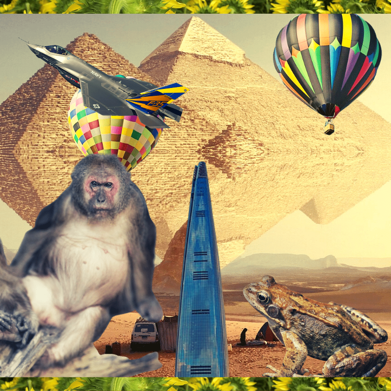 Banana & Pepe on mysterious trips #13 static token preview