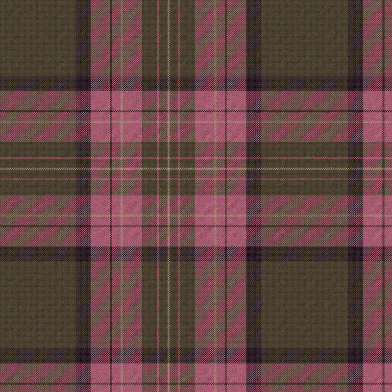 Tartan Cloth #22 static token preview