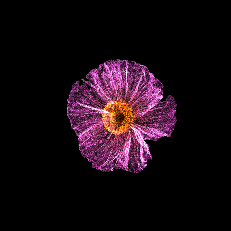 White Poppy 30 #171 static token preview
