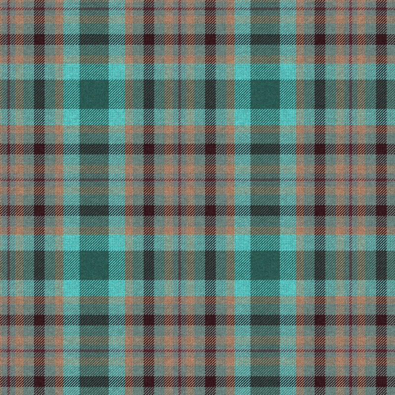 Tartan Cloth #5 static token preview