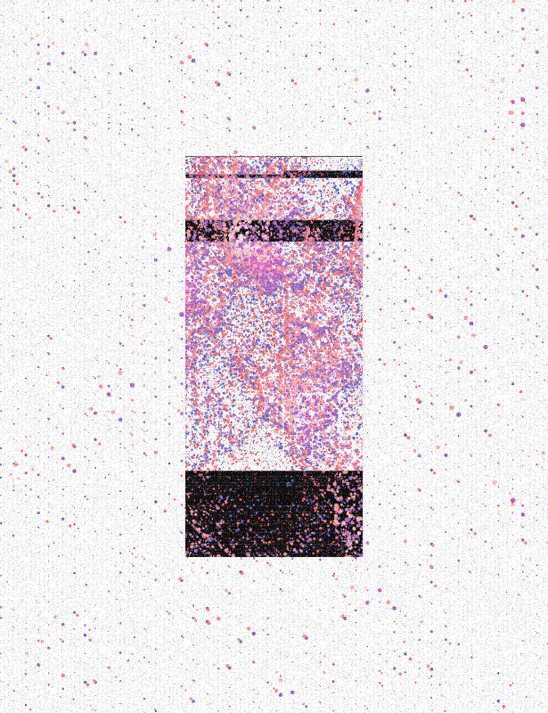 construct//corrupt #11 static token preview