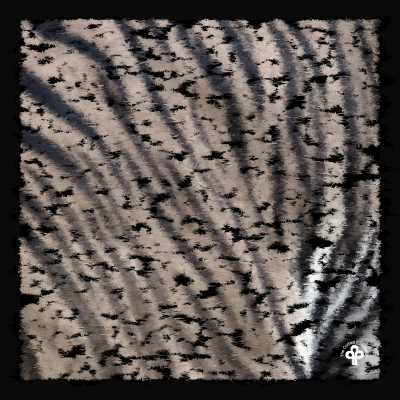 (re)generative tigers #14 static token preview