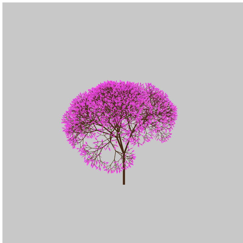 CandyTree #14 static token preview