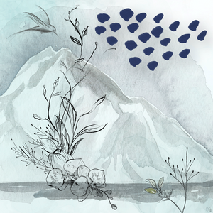 Remember Nature project preview