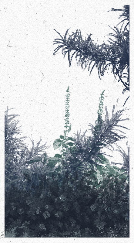 Life in the forest! #20 static token preview