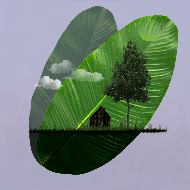 Live in Nature #20 static token preview