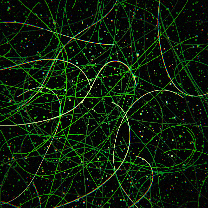 Neon Curves #13 static token preview