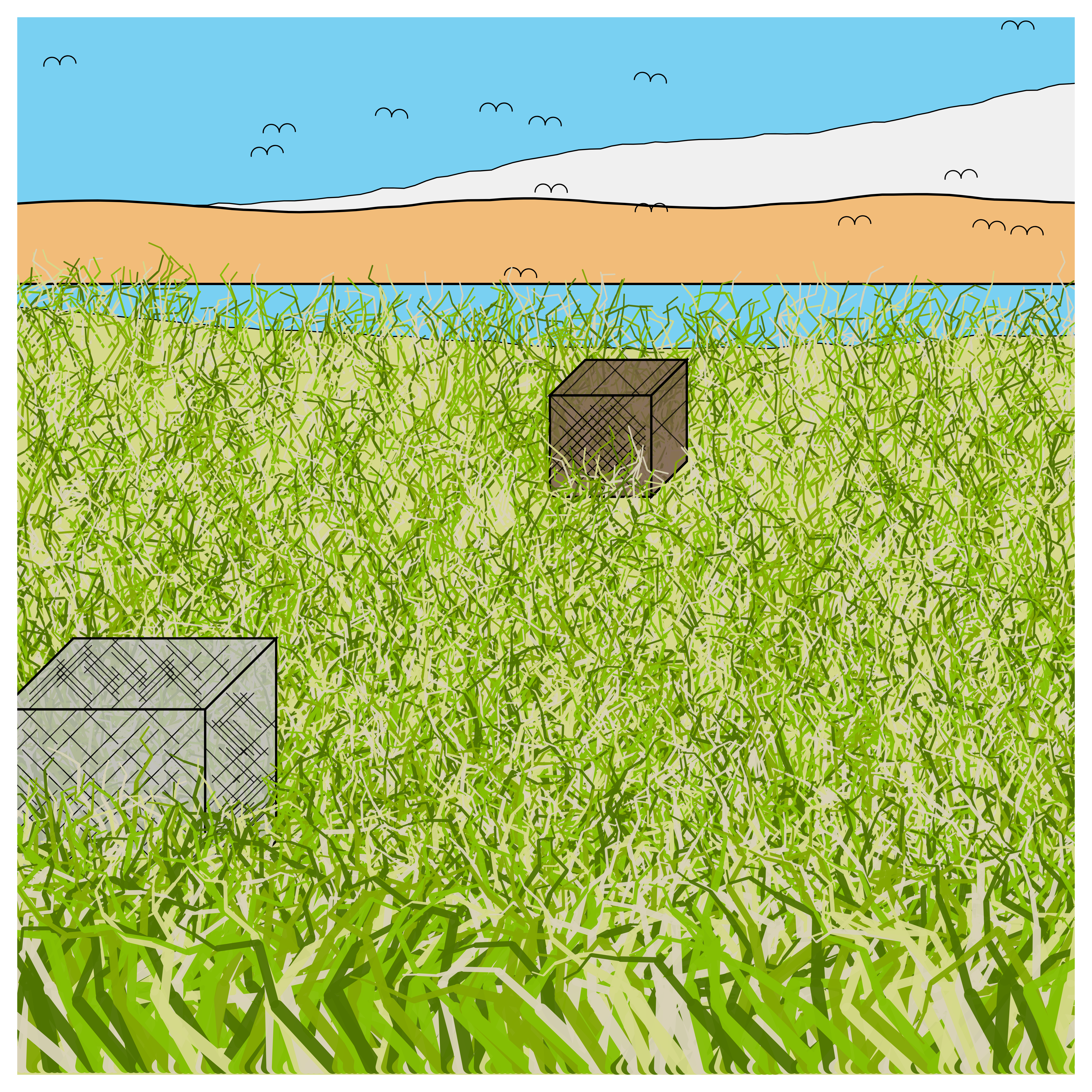 Cube Forest #12 static token preview