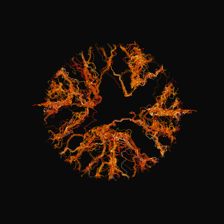 Ginseng #13 static token preview