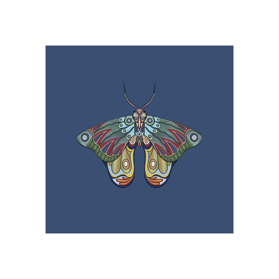 The Moth Experiment #22 static token preview