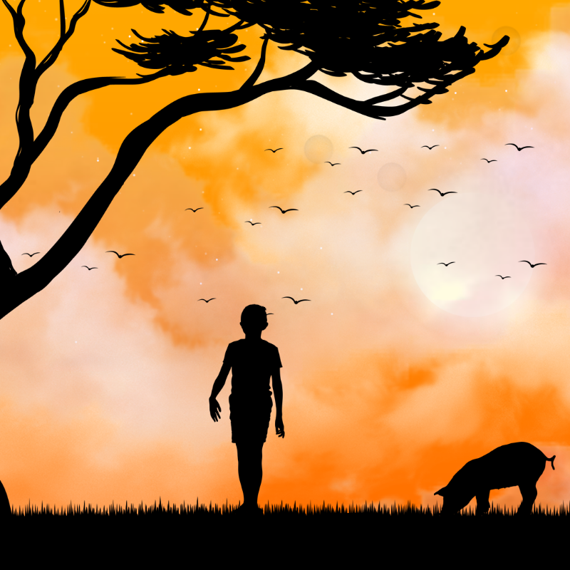 We Care...Pig #1 static token preview