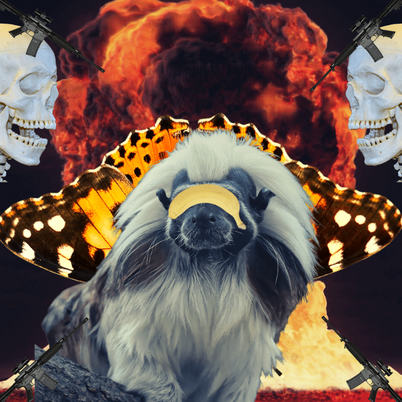 Blinded apes #22 static token preview