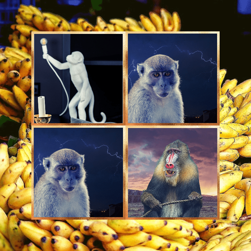 Banana legends #20 static token preview