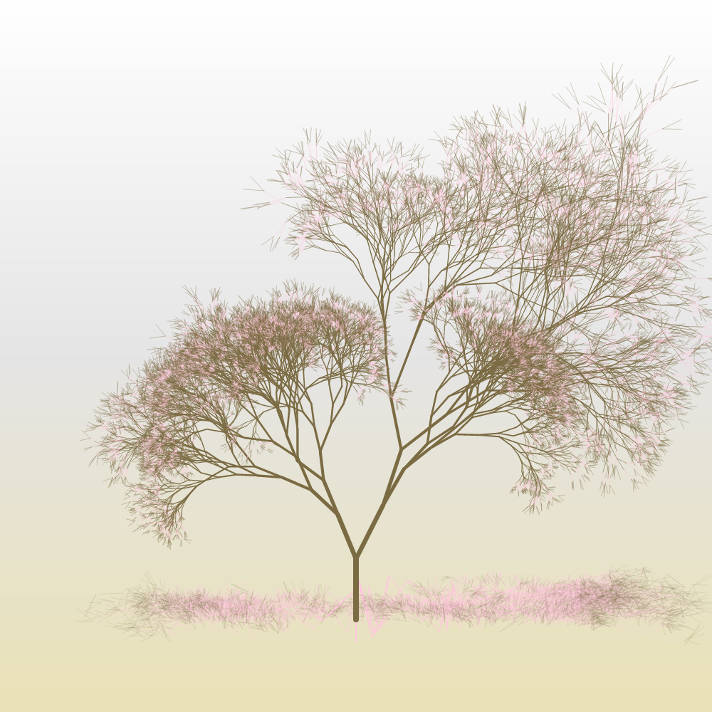 Hanami #16 static token preview
