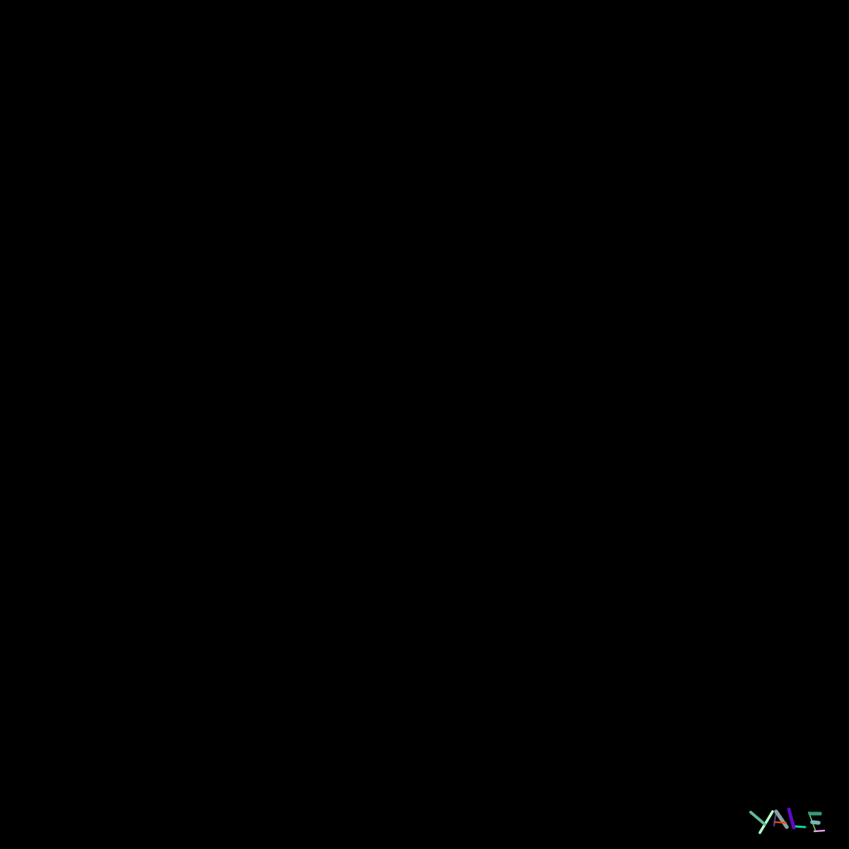 Black #11 static token preview