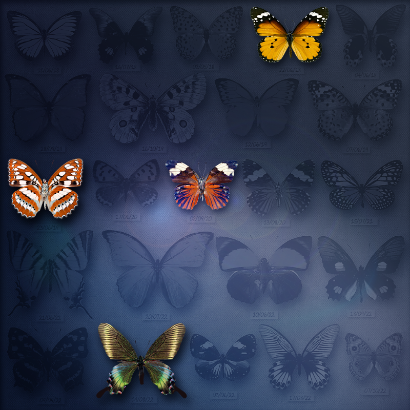 Save Butterfly World #10 static token preview