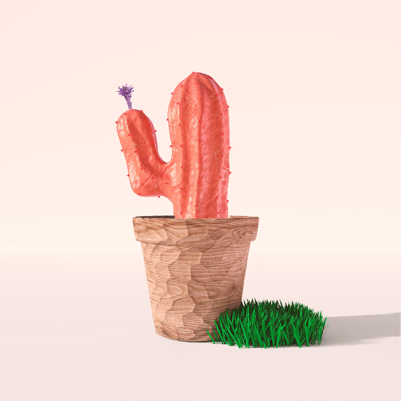 3D Crypto Cacti #6 static token preview