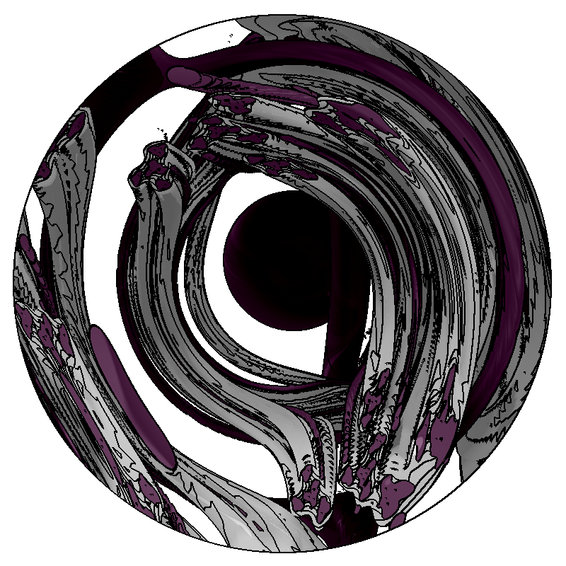 LL21 Anatomy #1 static token preview