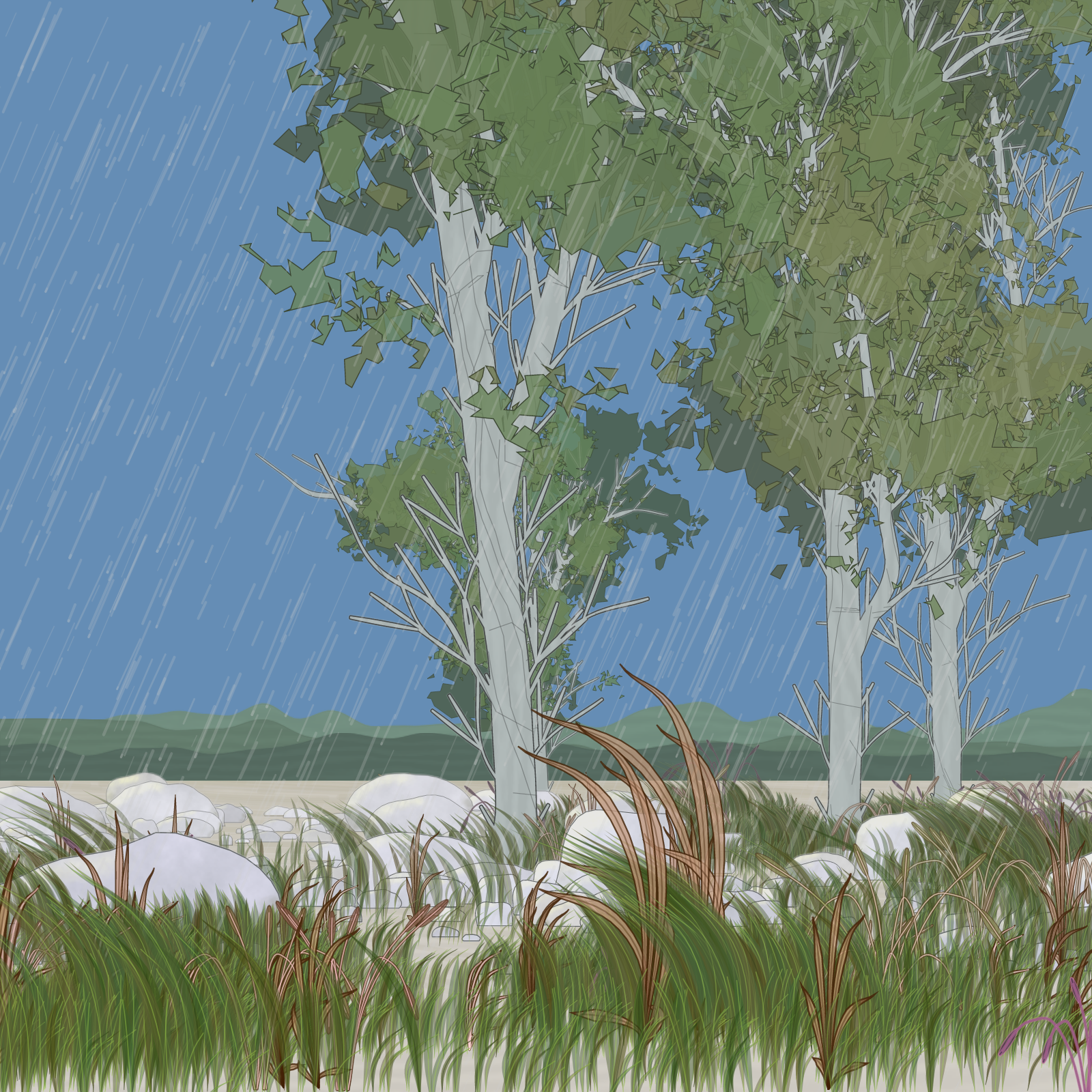Rain Ritual #21 static token preview
