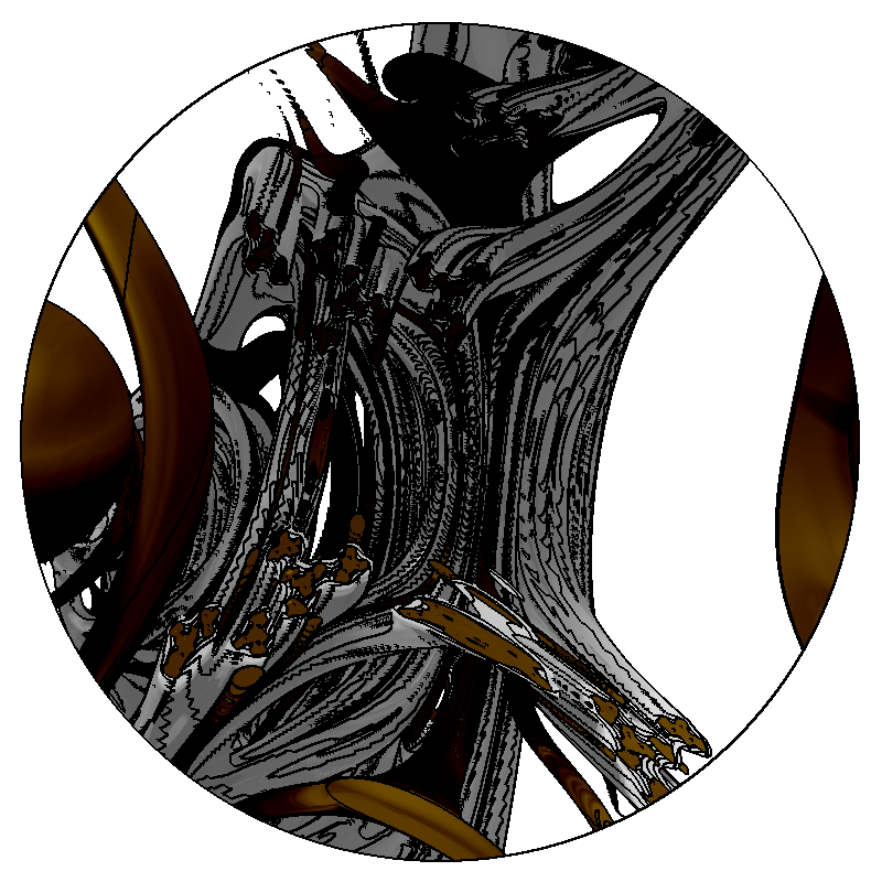 LL21 Anatomy #60 static token preview