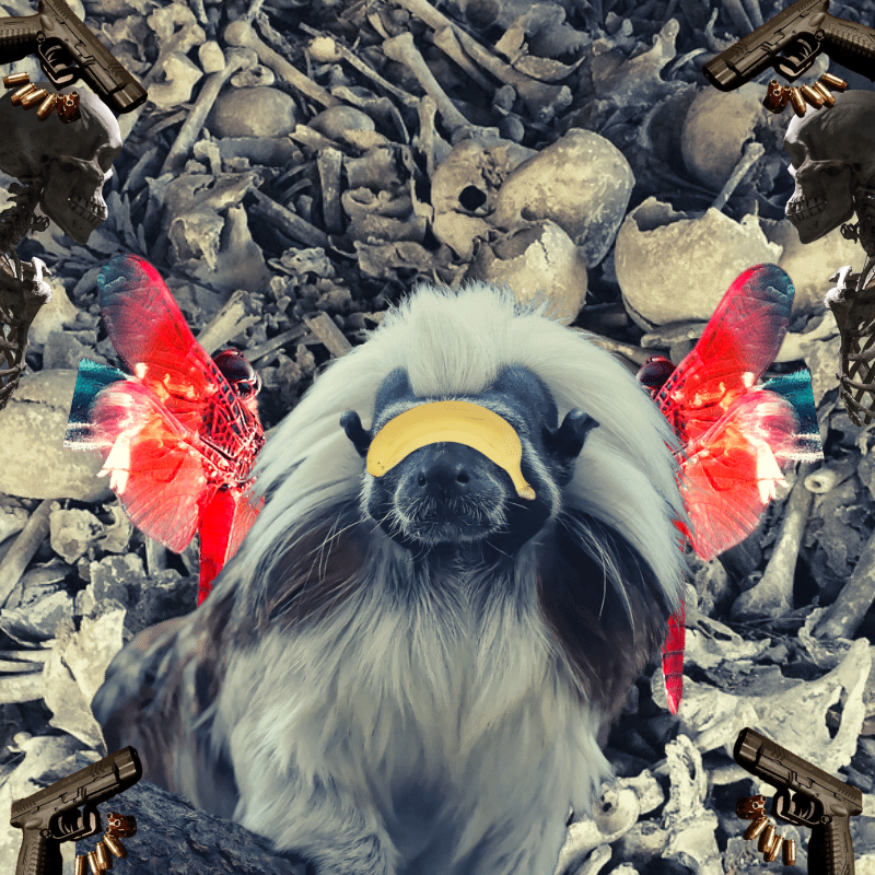 Blinded apes #5 static token preview