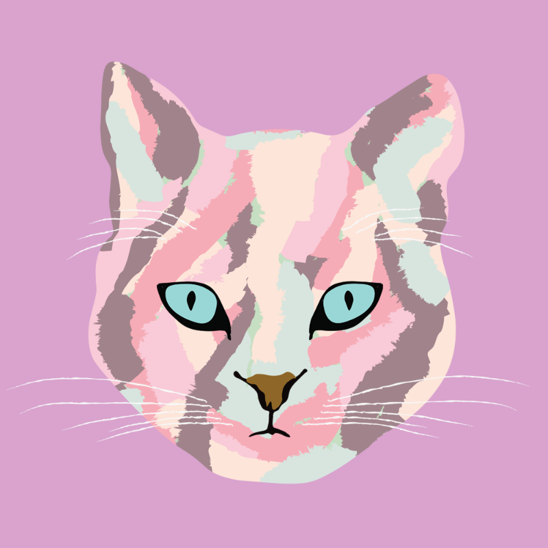 Kitten #14 static token preview