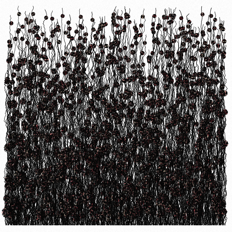 Cornflowers #24 static token preview