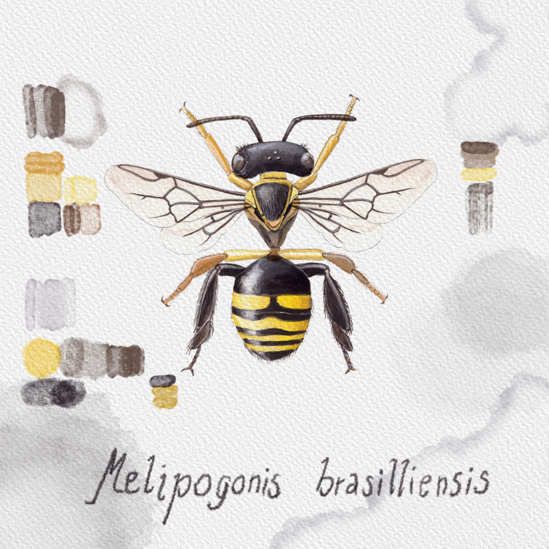 Randomic Brazilian Bees #2 static token preview