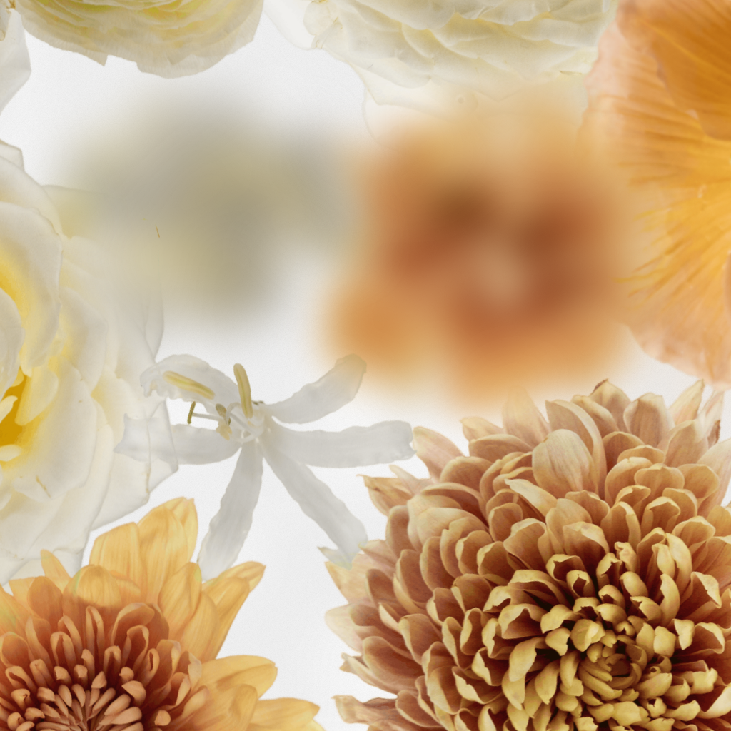 Broken Flowers #12 static token preview