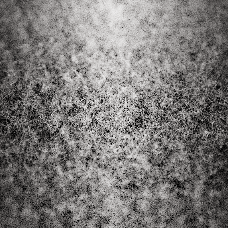 Field of noise #17 static token preview