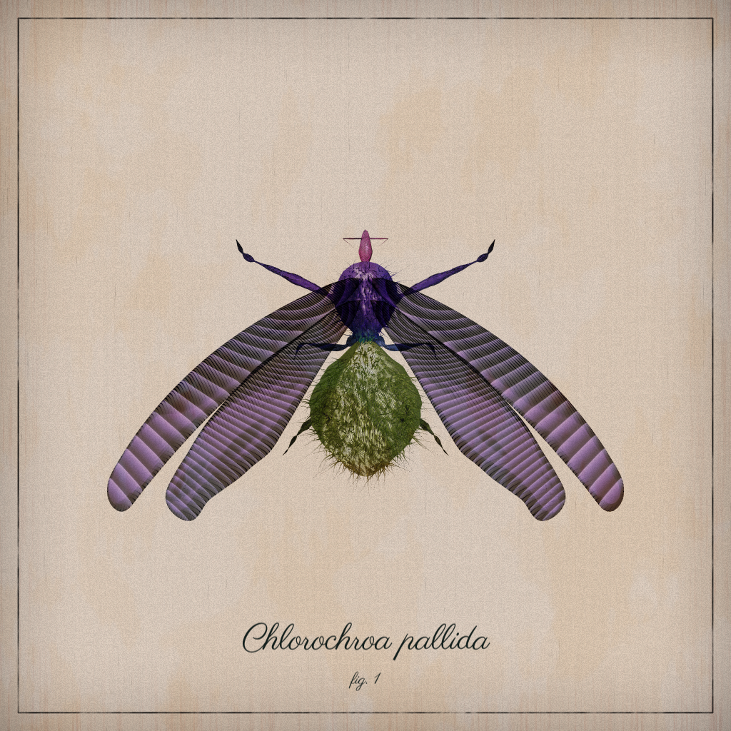ProcGen Entomology #496 static token preview