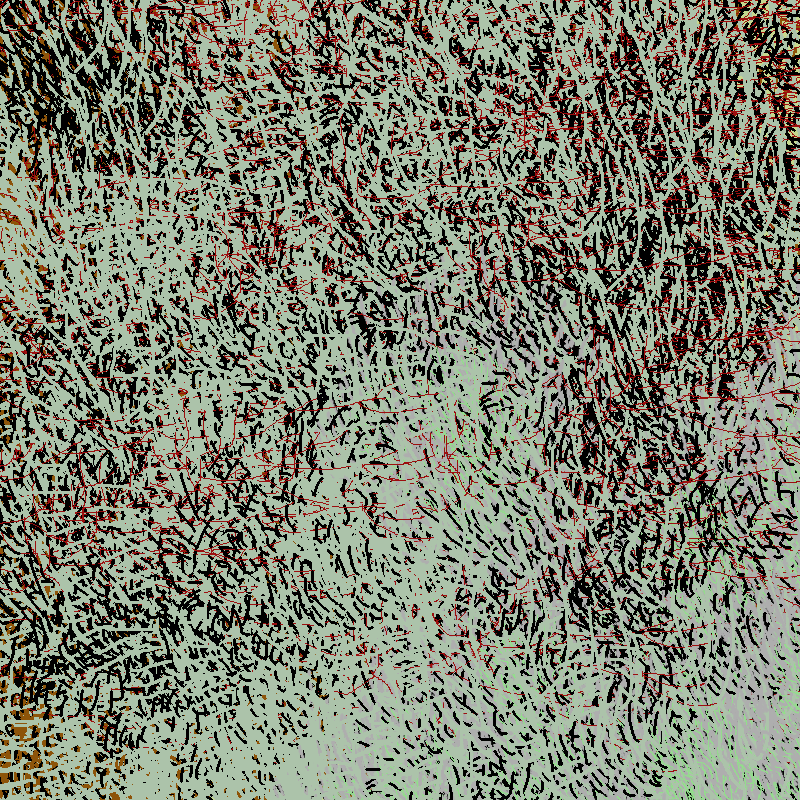 a bird worked on my painting #8 static token preview