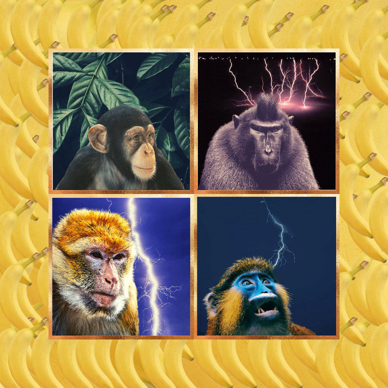 Banana legends #14 static token preview