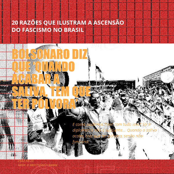 B4D - Brazil4Democracy #4 static token preview