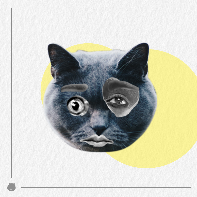 Kittenstein #14 static token preview