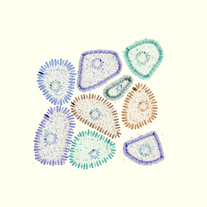 Organelles project preview