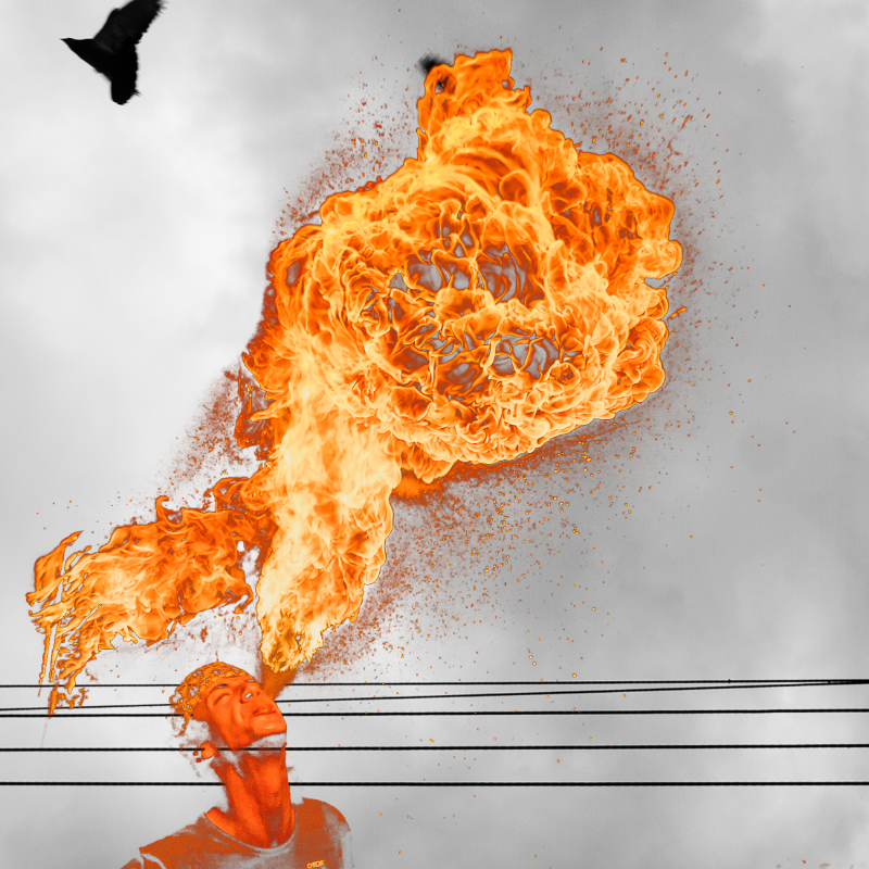 Free to burn #11 static token preview