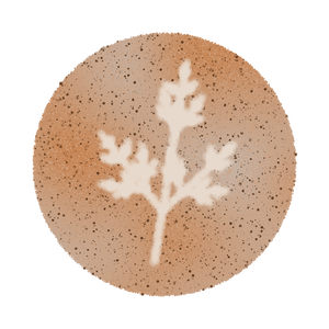 Barista project preview