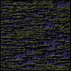 magical swamp project preview