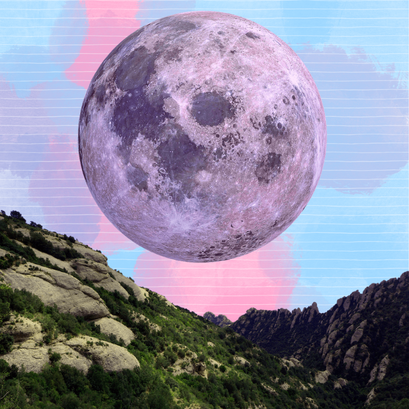 Pink Moon #1 static token preview