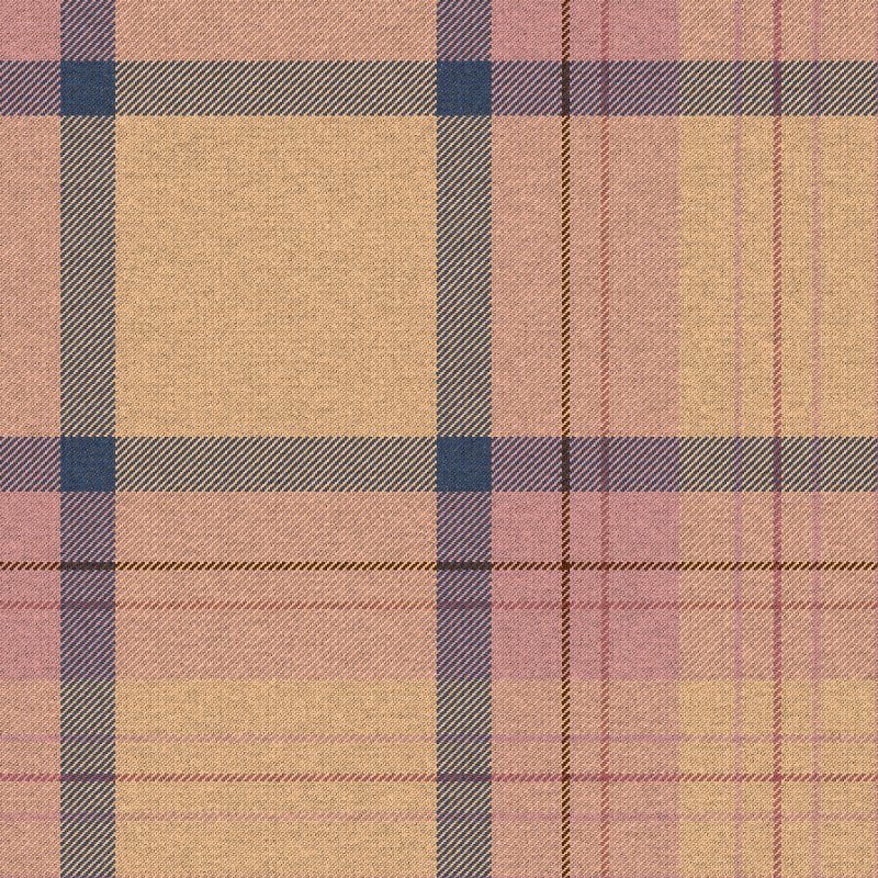 Tartan Cloth #9 static token preview