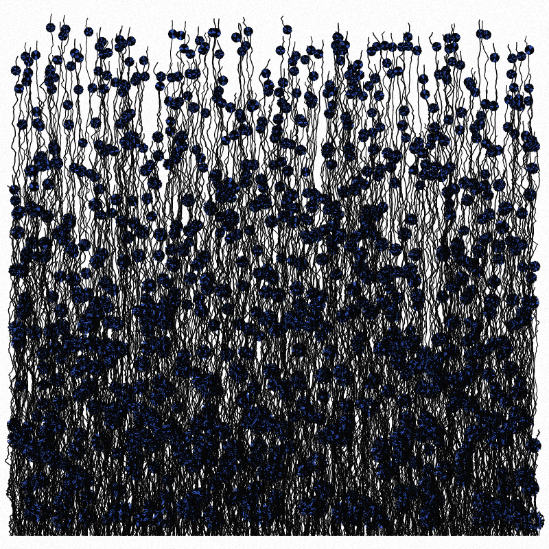 Cornflowers #17 static token preview