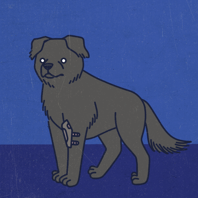 future_dogs #10 static token preview