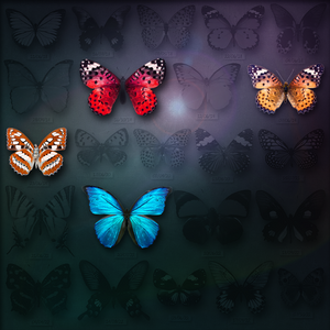 Save Butterfly World project preview