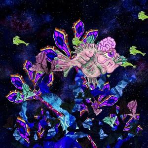 WEIRD FISHES 2 and 3 project preview